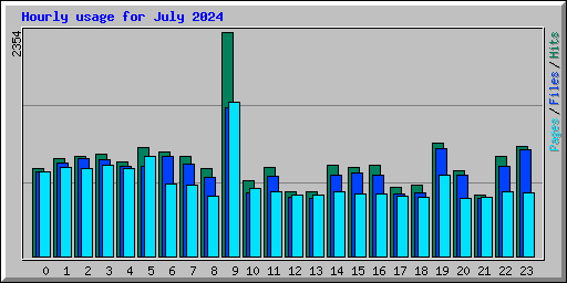 Hourly usage for July 2024