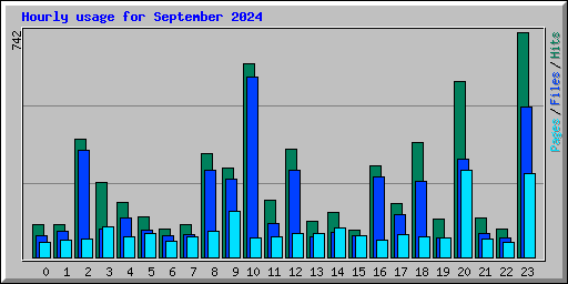 Hourly usage for September 2024