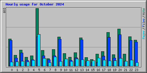 Hourly usage for October 2024