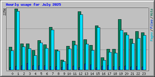 Hourly usage for July 2025