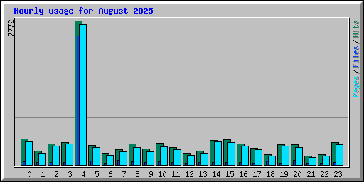 Hourly usage for August 2025