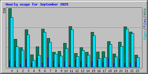 Hourly usage for September 2025