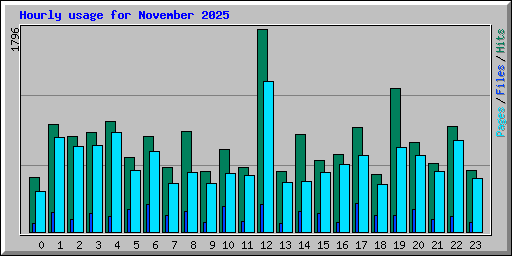 Hourly usage for November 2025