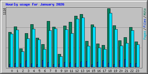Hourly usage for January 2026