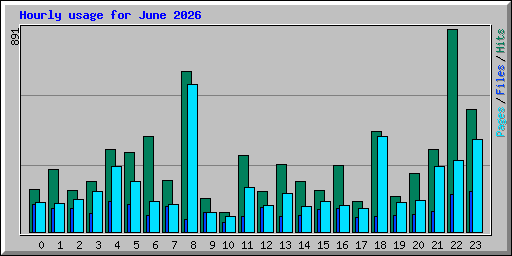 Hourly usage for June 2026