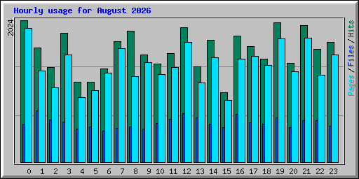 Hourly usage for August 2026