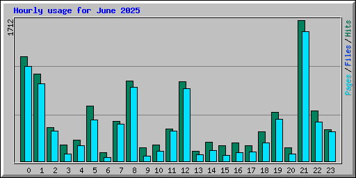 Hourly usage for June 2025