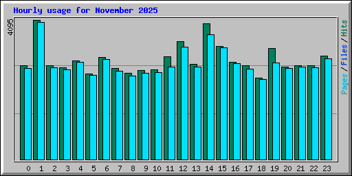 Hourly usage for November 2025
