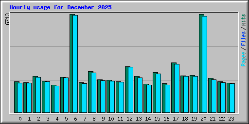 Hourly usage for December 2025