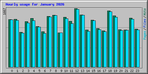 Hourly usage for January 2026