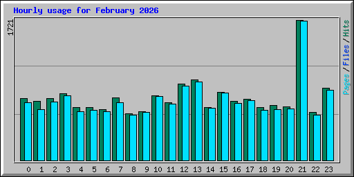 Hourly usage for February 2026