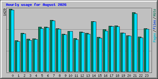 Hourly usage for August 2026
